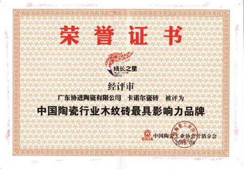 木纹砖最具影响力品牌