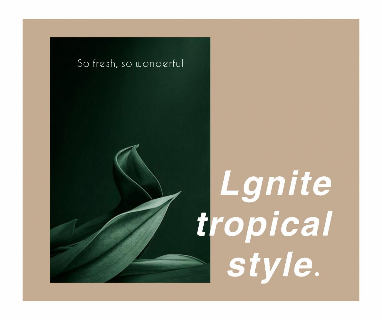 卡诺尔750x1500系列新品 |亚马逊绿，点燃热带风情