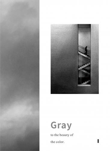 卡诺尔 . 750x1500系列新品 — 托马斯灰