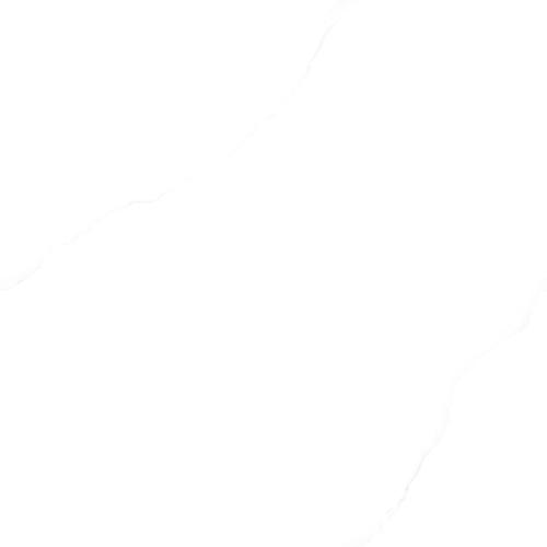 蒙利特白7KS80503P