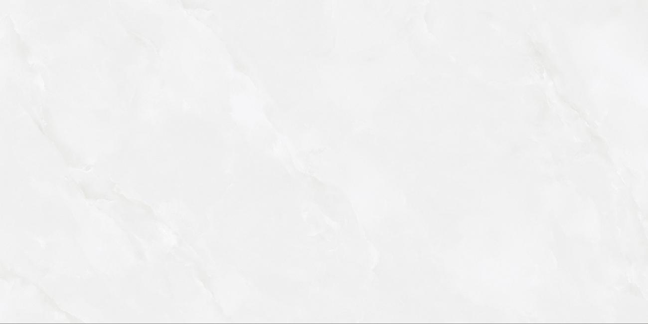 皇家白玉7KK48808