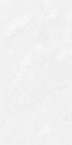 皇家白玉7KK48808