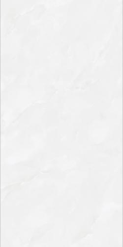 皇家白玉7KK48808