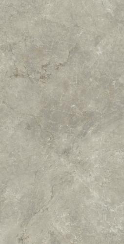 卡里  奥灰1KS18303P