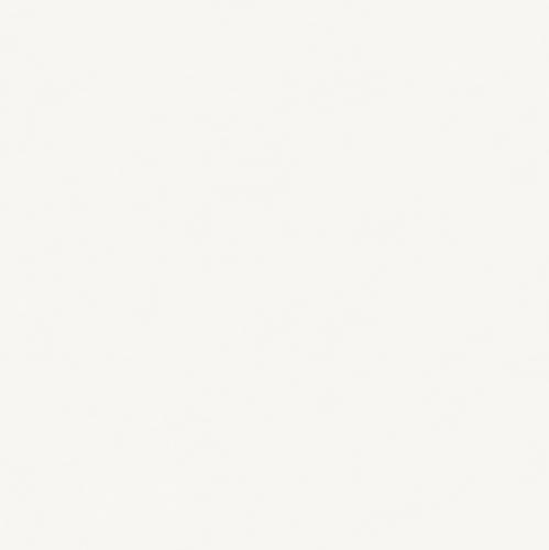 雪慕奶白7KS80609T	