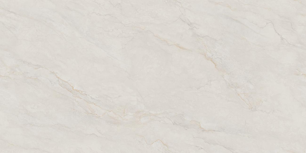 夏洛特灰1KS18991P