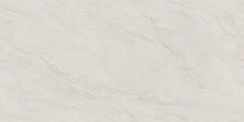 夏洛特灰1KS18991P