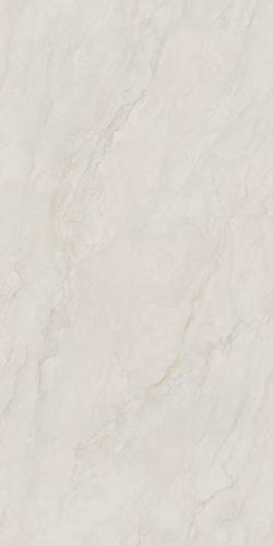 夏洛特灰1KS18991P