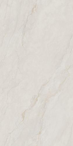 夏洛特灰1KS18991P