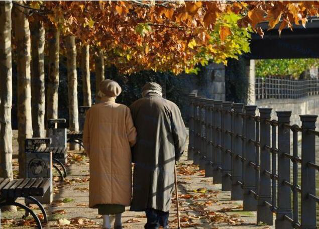 父母两人孤单地行走